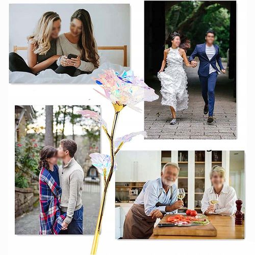 WIECZNA RÓŻA NEW MODEL: NR:8656 na Arena.pl