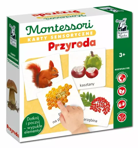 Karty sensoryczne Montessori. Przyroda zdjęcie 1