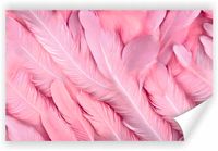 Fototapeta PREMIUM STRUKTURA ZMYWALANA NA WYMIAR różowe pióra tapeta