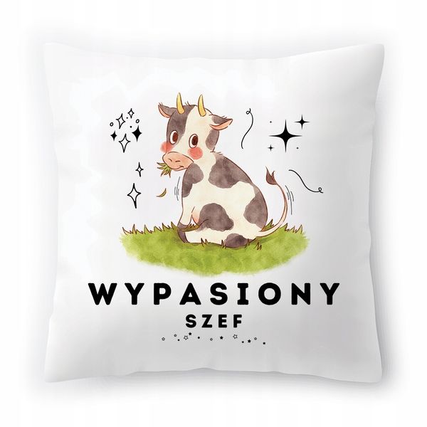 Dla Szefa Poduszka Na Urodziny Na Prezent Z Nadrukiem Ze Zdjęciem zdjęcie 1