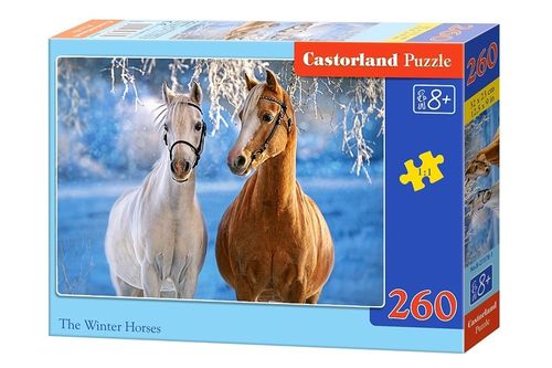 Castor 260 ELEMENTÓW Konie zima na Arena.pl