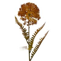 Dodatek czosnek beżowy