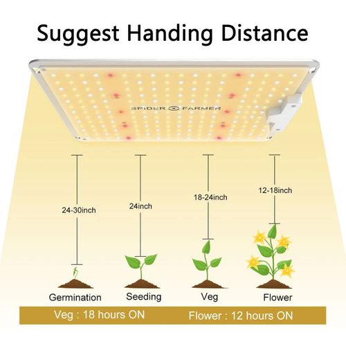 Spider Farmer LED SF-1000EVO full spectrum model 2024 na Arena.pl