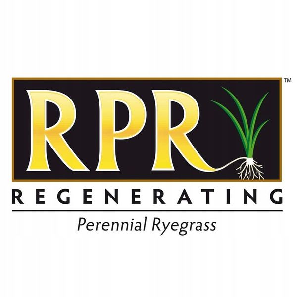 Trawa BARENBRUG RPR Lawn 1kg zdjęcie 7