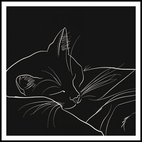 Plakat 80x80cm Nocny Spokój na Arena.pl