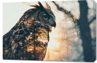 Obraz 90x60cm Sowi Duch