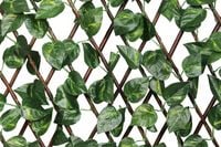 PARAWAN OGRODOWY OSŁONA NA BALKON LIŚCIE KRATKA Z BLUSZCZEM 100x200 cm