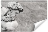 Fototapeta Ścienna NEPTUN Rzeźba Abstrakcja 400cm x 280cm