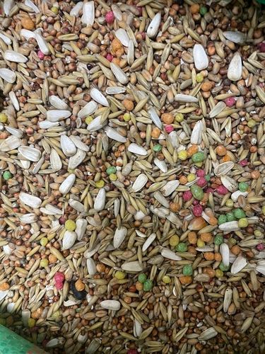 Karma Pokarm Jedzenie Dla Ptaków Dzikich Letnich Całoroczna Karmnik 20 KG na Arena.pl