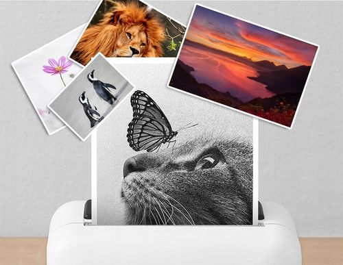 4x TUSZ DO EPSON 664 XL EcoTank L3060 L3050 L210 na Arena.pl