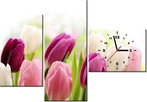 100CM 70CM ZEGAR 3 ELEM SOCZYSTE TULIPANY ŚCIENNY OBRAZ na Arena.pl