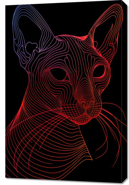 Obraz 60x90cm Cyfrowa Kocica zdjęcie 1