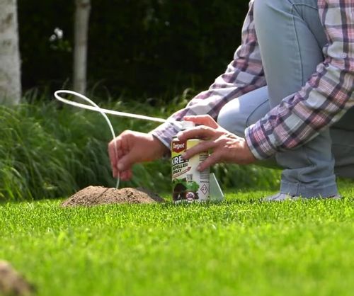 SPECJALNY KRETY REPPELLER SPRAY 400ml ODSTRASZACZ KRETA KRETOŁAP KRETOGROM na Arena.pl