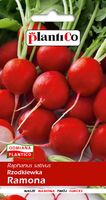 NASIONA Rzodkiewka Ramona 10g PLANTICO 406247