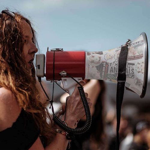 Profesjonalny MEGAFON 50W USB SD MP3 akumulator na Arena.pl