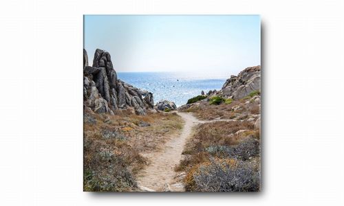 OBRAZ NA PŁÓTNIE 100 Ścieżka nad morze 50x50cm na Arena.pl