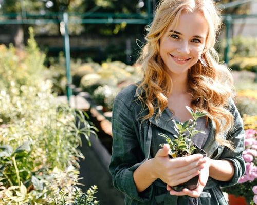 Kaktusy Zestaw Mix 6 Różnych Kaktusów Opuncja Kaktus Prezent Sukulent na Arena.pl