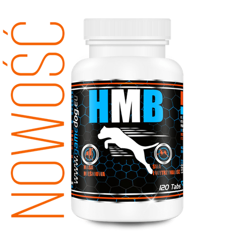 GAME DOG HMB 120tabl na Arena.pl