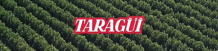 Yerba Mate Taragui tradicional 1000g 1kg zdjęcie 3
