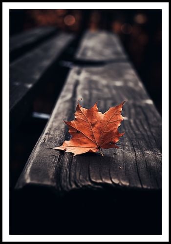 Plakat 67,5x100cm Pojedynczy Liść na Arena.pl