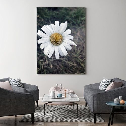 Obraz na płótnie – Canvas, Rumianek 80x120 na Arena.pl