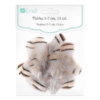 pióra bażanta 5-7 cm, 15 szt