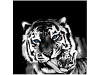 product-compare-58650973