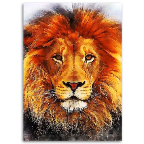 Obraz na płótnie – Canvas, Lew 70x100 na Arena.pl