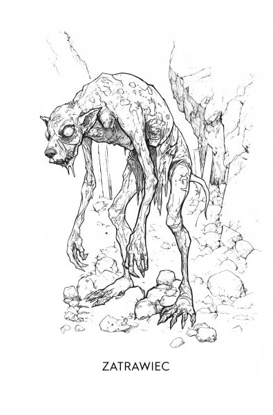 Rozdroże Kruków zdjęcie 4