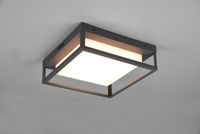 PLAFON ZEWNĘTRZNY LED IP54 TRIO WITHAM 677860142