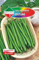 NASIONA Fasola Zwykła Karłowata Batumi 50g SPÓJNIA 332896