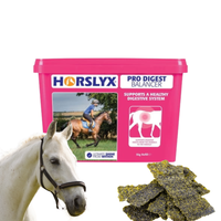 Horslyx Pro Digest Masa Energetyczna Dla Koni W Formie Bloków 5kg