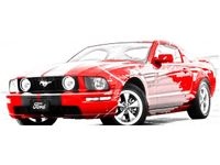 100X40CM ART OF MUSTANG OBRAZ DREWNO