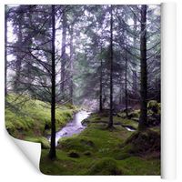 Fototapeta Las Natura ZIELEŃ Rzeka do Sypialni 300x210