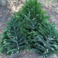 product-compare-57489242