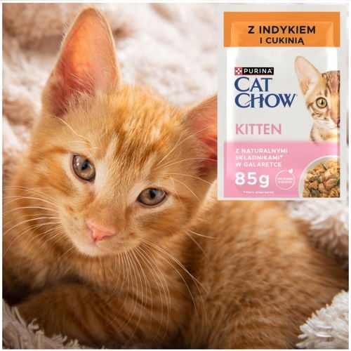 karma mokra dla kociąt purina cat chow kitten indyk z cukinią naturalna 85g na Arena.pl