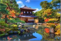 product-compare-58682197