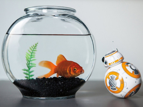 Robot Sphero Star Wars BB-8 R001 na Arena.pl