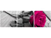 product-compare-58672369