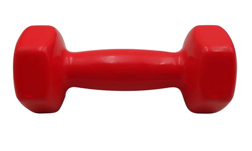 hantel żeliwny powlekany 2kg na Arena.pl