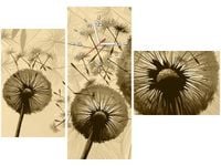 product-compare-58641358