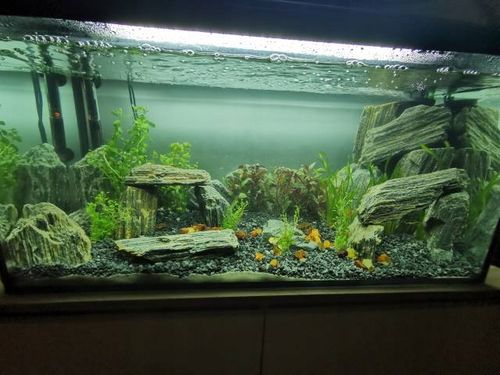 LAWA LAWA WULKANICZNA 2-8 mm 25 kg ŻWIREK AKWARIUM NA DNO na Arena.pl