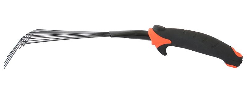 GRABKI WACHLARZOWE - E-210-8869 zdjęcie 3