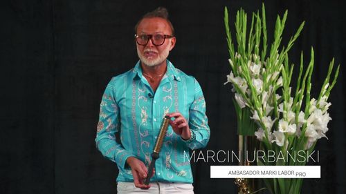 szczotka do modelowania włosów zaprojektowana przez Federico fashion style na Arena.pl