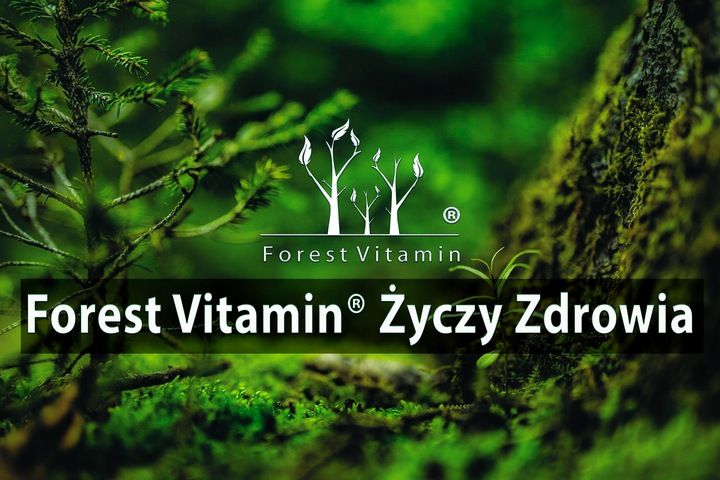 MOCNA WITAMINA B12 METYLOKOBALAMINA 250 TABLETEK zdjęcie 9