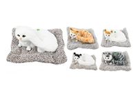 kot na poduszce  25cm figurka dekoracyjna