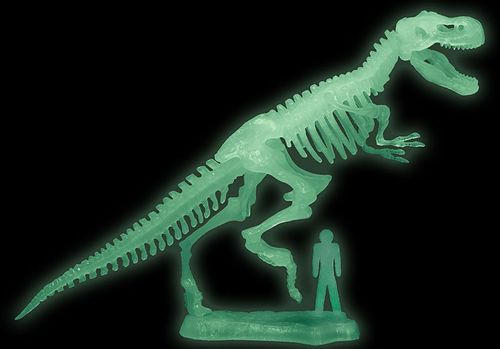 Zestaw Archeologiczny T-Rex na Arena.pl