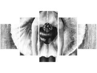 80CM 150CM OBRAZ 5 ELEM BALETNICA CZERNI BIELI ŚCIENNY