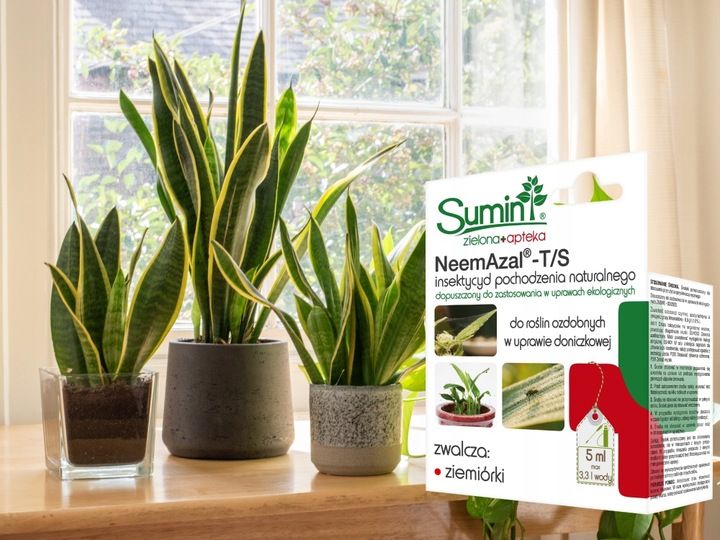 NEEMAZAL T/S PREPARAT NA ZIEMIÓRKI inne szkodniki, oprysk roślin ozdobnych zdjęcie 11