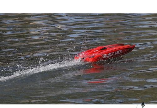 Blackjack 29 BL RTR na Arena.pl